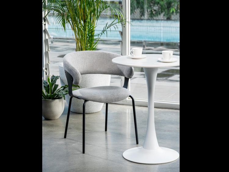 Kenny Dining Chair Silver Grey Set of 2