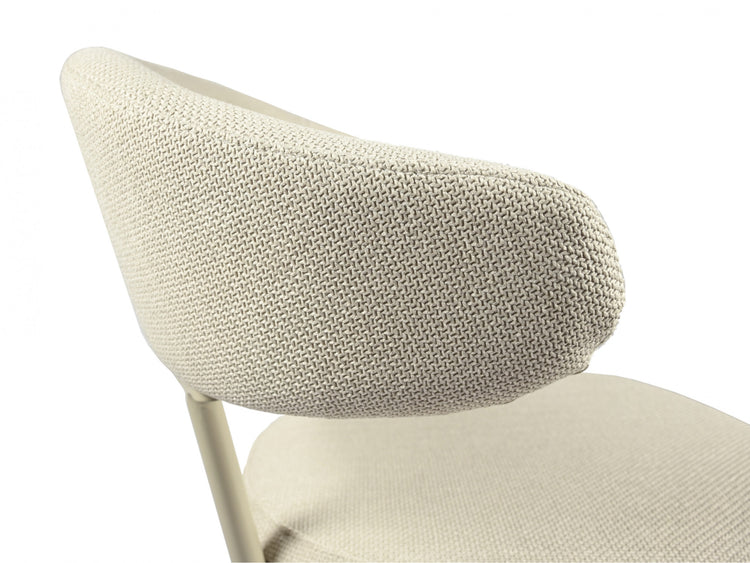 Cannes Dining Chair Shell Set of 2